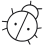 cropped cropped a minimalistic blackladybugohnehintergrund removebg preview.png
